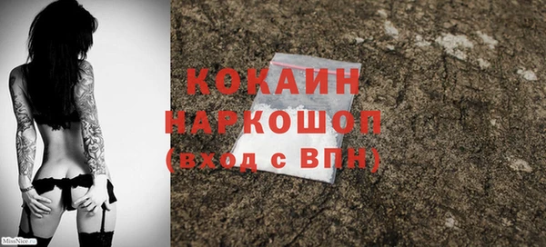 соль ск Алексин